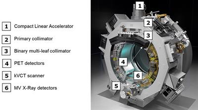 The potential of biology-guided radiation therapy in thoracic cancer: A preliminary treatment planning study